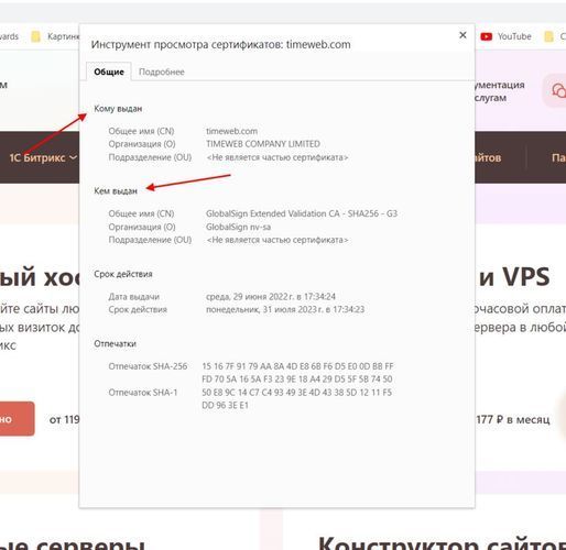 Как узнать кем был выдан SSL-сертификат
